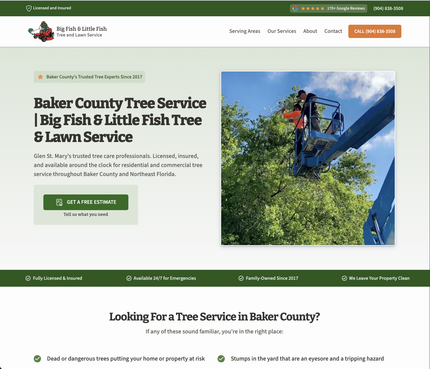 sceenshot of Big Fish website